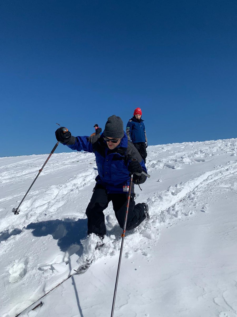 Center Austria - European Studies tweet media