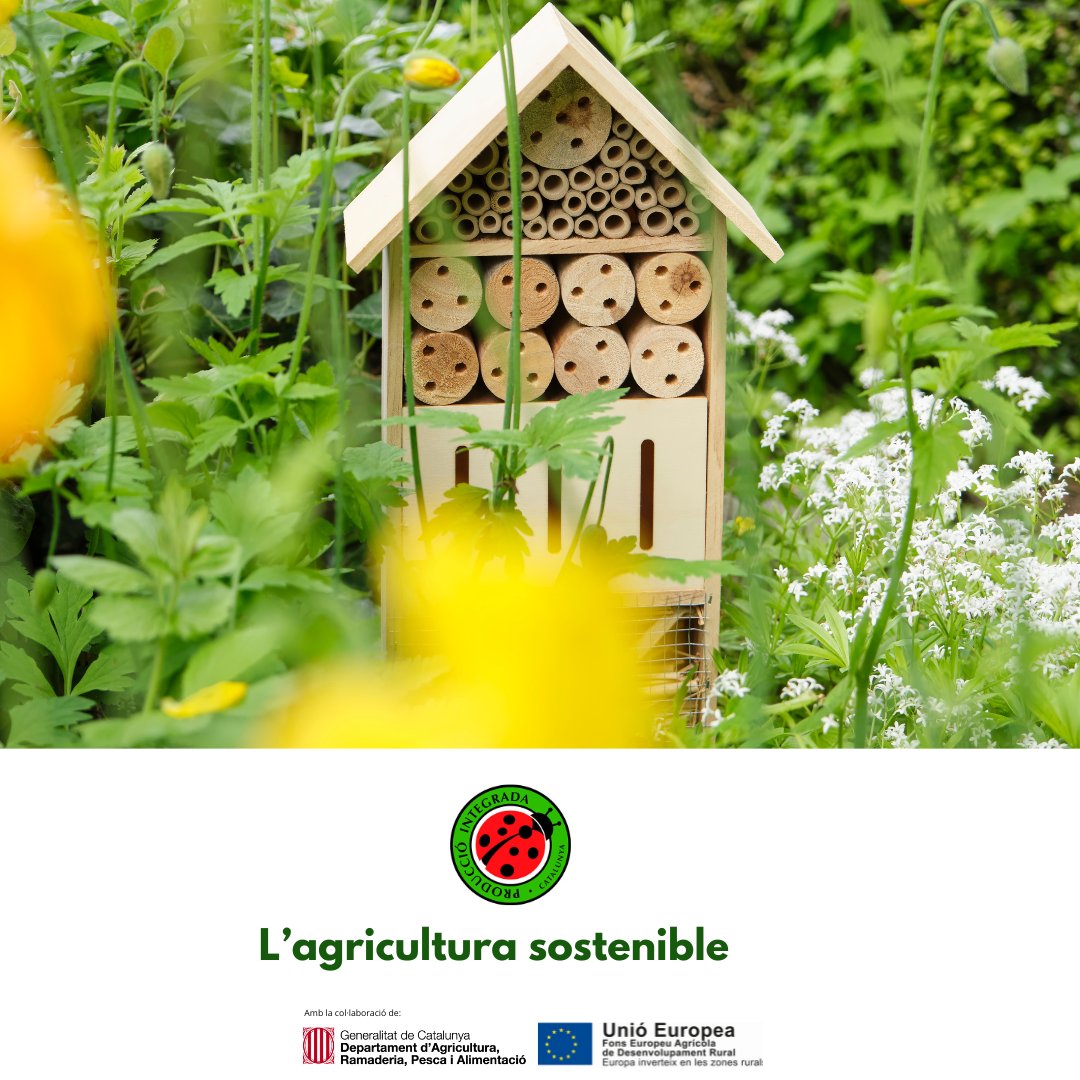 producciointegrada tweet media