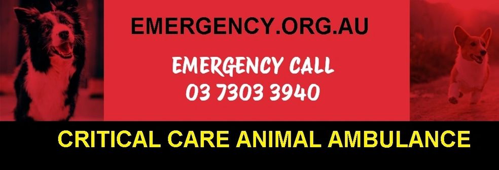 Harri54627's tweet photo. Emergency Call 0373033940 https://t.co/CzN6FWAyZ3