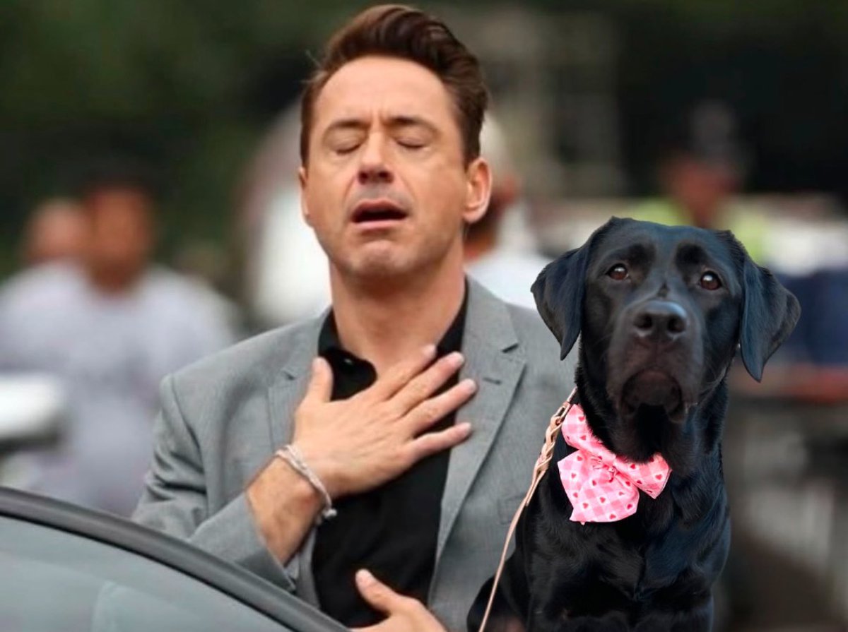 When you thought you ran over a dog but it was just a person filming themself in the middle of the road