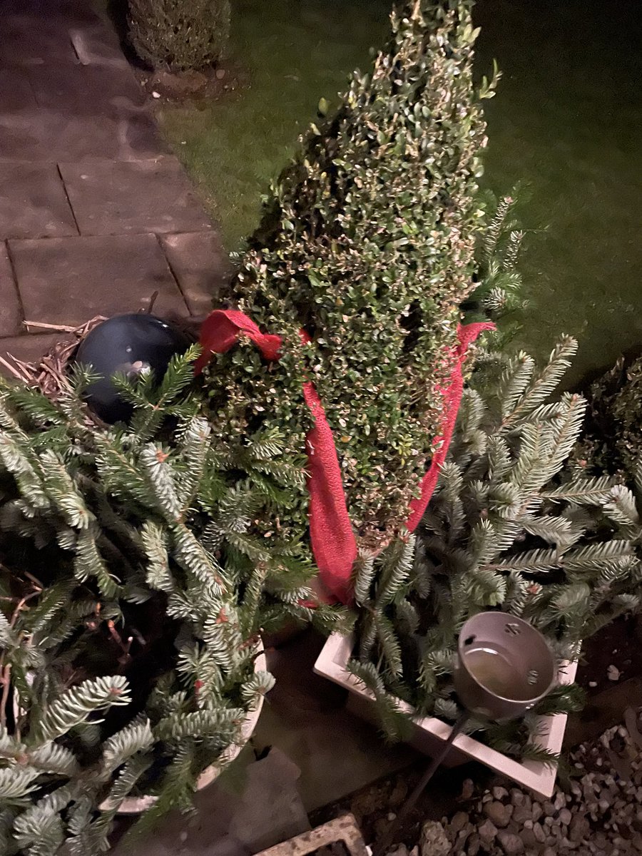 WeinPiraten's tweet image. „Nachdem der äußerst wankelmütige #Buchsbaum sich schon bei der ersten Windböe des Jahres in der Toreinfahrt zur Seite legte und seinen schönen Tontopf zerstörte,
wurde er nun fachmännisch botanisch umzingelt und gesichert!
Jetzt soll der Sturm #Éowyn oder #Gilles mal blasen!“;)