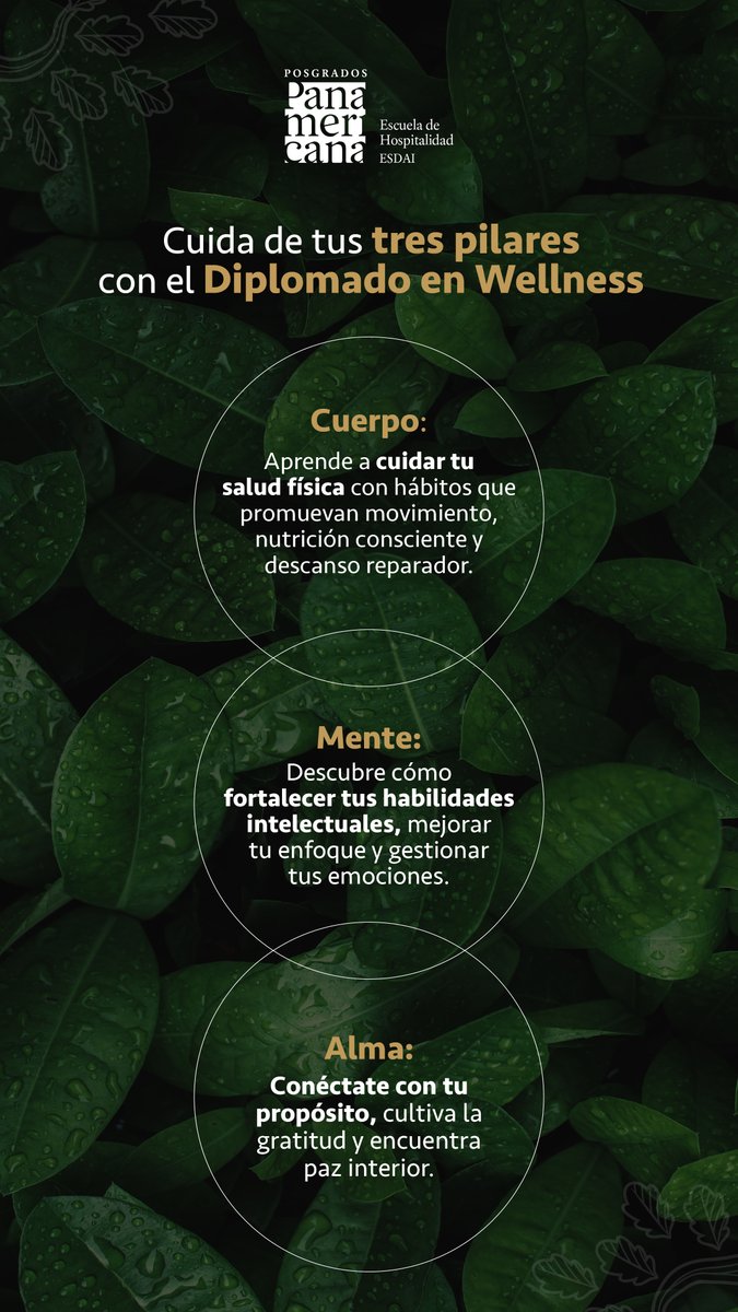 Explora todas las dimensiones de tu vida y descubre cómo equilibrarlas para un bienestar completo y duradero. 
Haz clic aquí para mayor información: hubs.la/Q031NJ3V0 
#Wellness #SaludyBienestar #Diplomado #BienestarEmocional