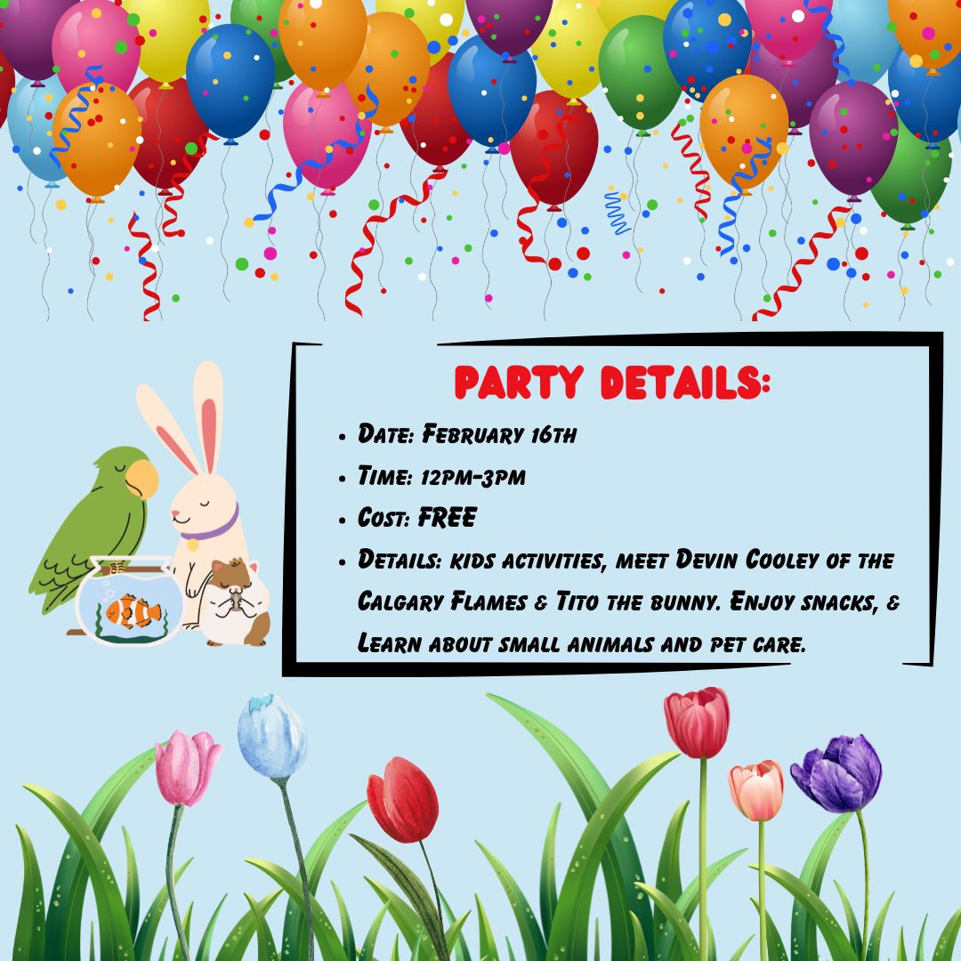 Parachutes For Pets tweet media