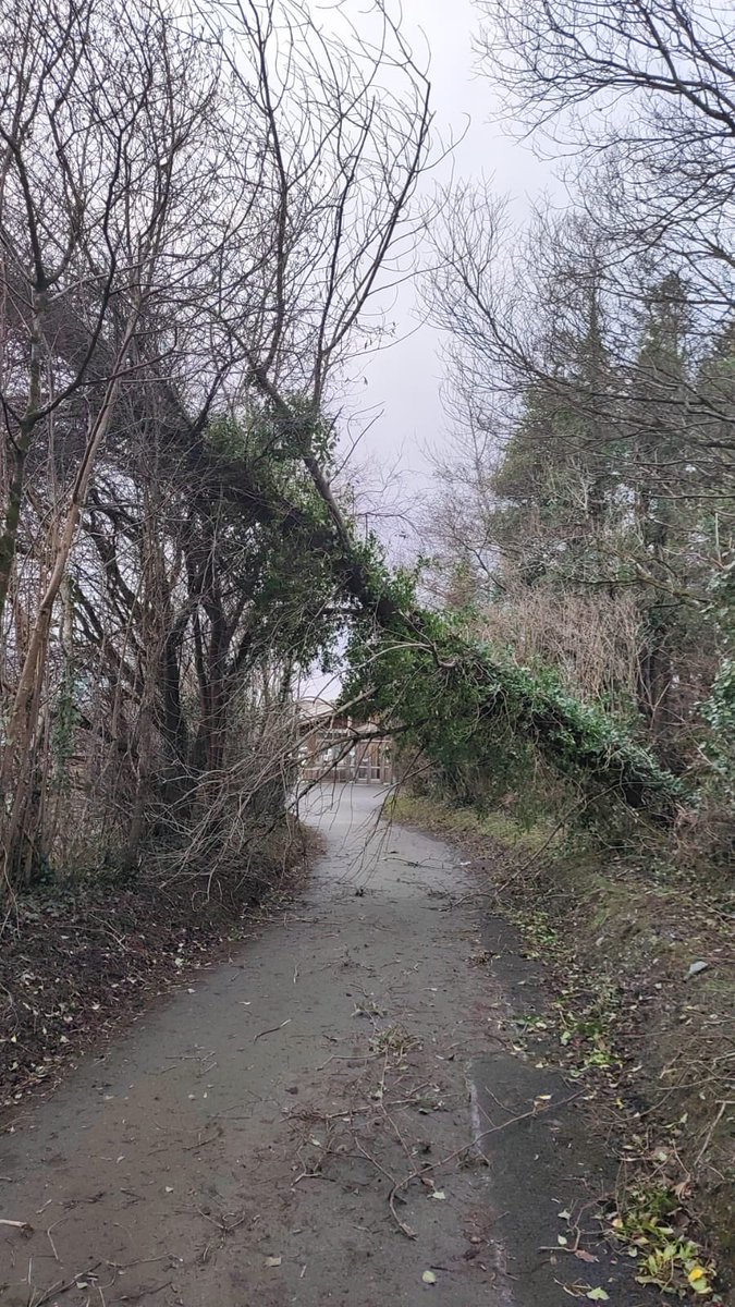 The Organic Centre tweet media