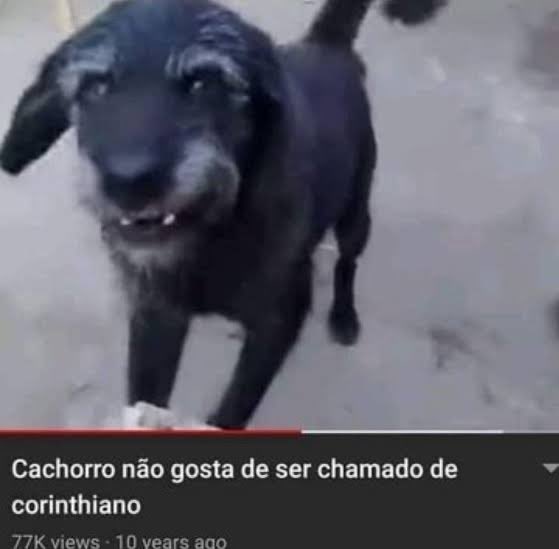 SÃO PAULO MIL GRAU tweet media