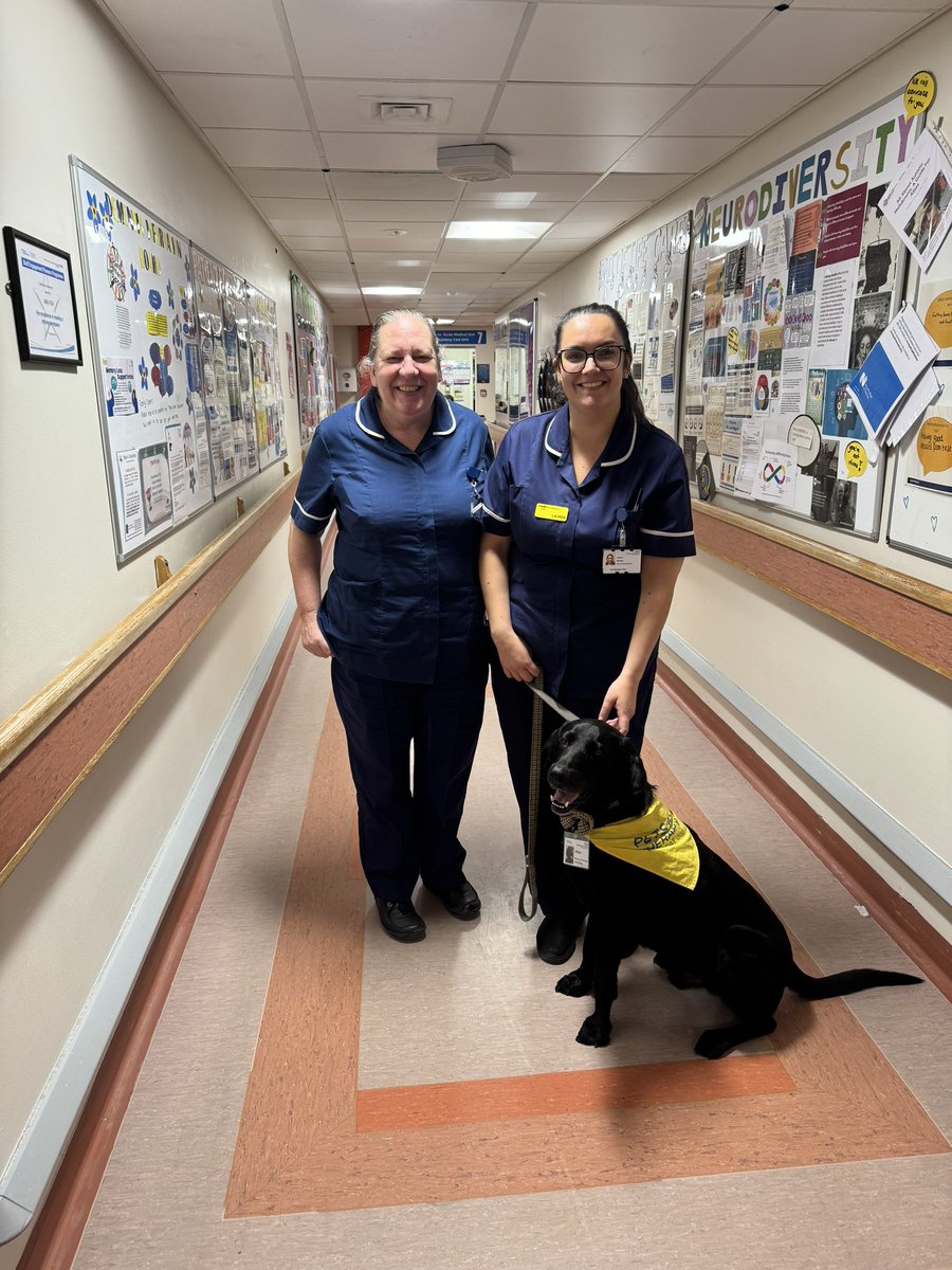 Atlas the therapy dog took a trip to AMU today! We loved him 🐶 ❤️