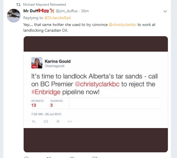 TOBust4's tweet photo. @TWilsonOttawa @karinagould must think Canadians a bunch of rubes. We remember those who screw us over, steal our tax money. now karina suspends reality to sell / rebrand as a new savior? no Karina. no more. @hollyanndoan https://t.co/HTOJ47oAdL