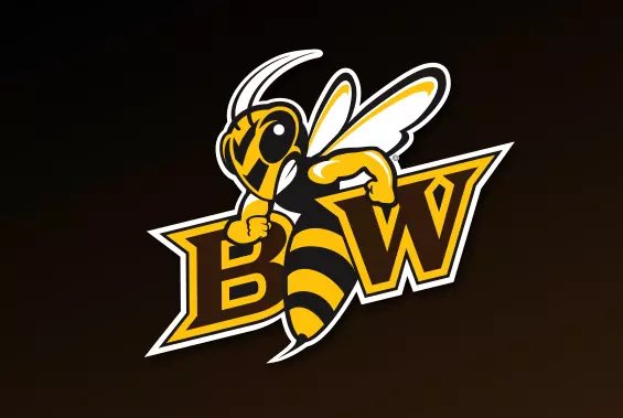 Blessed to receive the opportunity to play at the next level at Baldwin Wallace University GO BEES 🐝<a href="/BWFootball_/">Baldwin Wallace Football</a> <a href="/CoachHilvert/">Jim Hilvert</a>