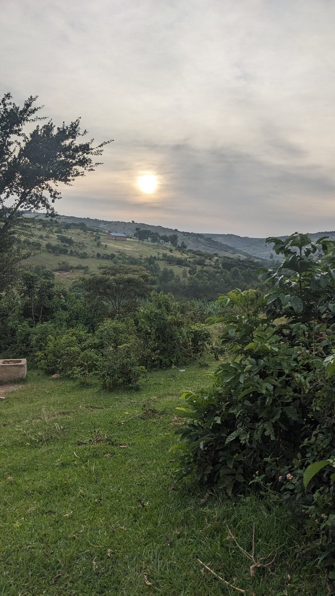 Green has a way of making everything around beautiful 😍😍