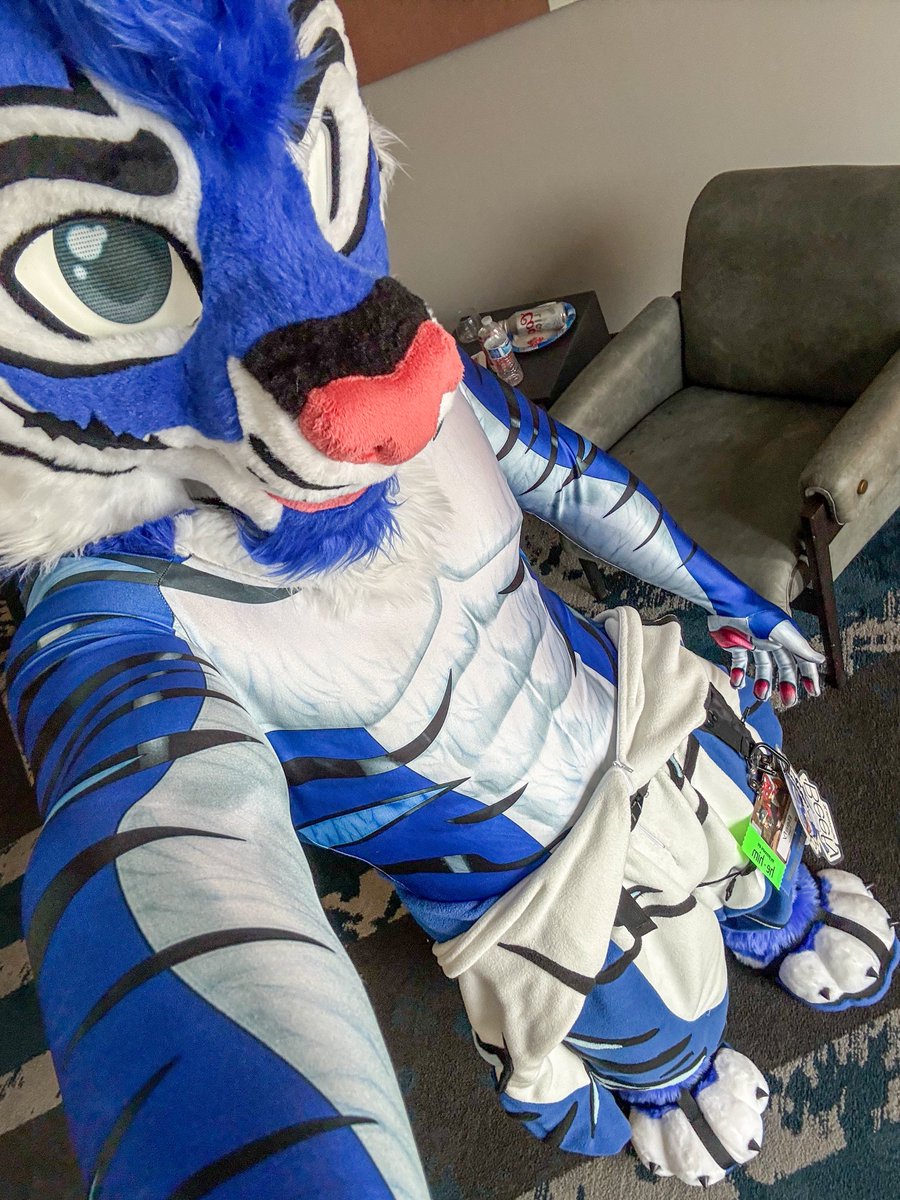 ShinyTiger 🔜 FWA tweet media