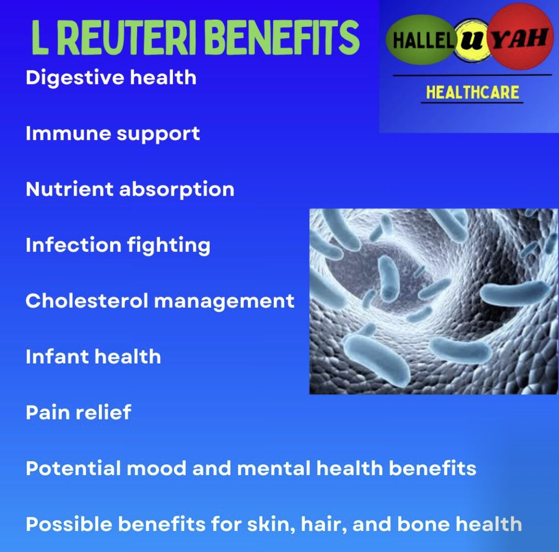 HalleluyahHc's tweet photo. There's a lot of talk in the gut health arena about L Reuteri.
Possible benefits for skin, hair, and bone health: Animal studies have shown potential improvements in skin quality, hair quality, and bone mass.
#healthcareadvocacy #BeautyCare #wealth #wealthtip https://t.co/iRxjjR4HTj