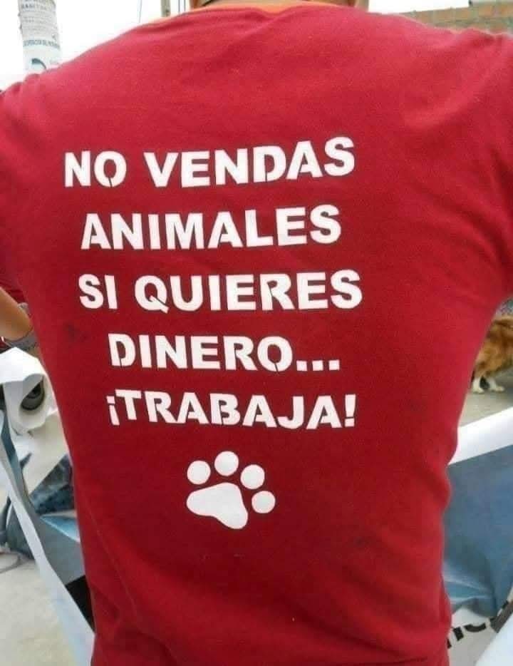 GRamirezF_D12's tweet photo. NI SE VENDEN NI SE COMPRAN LOS AMIGOS; SE ADOPTAN.! 🎗️

#Adopta https://t.co/X7Wto7Z1rP