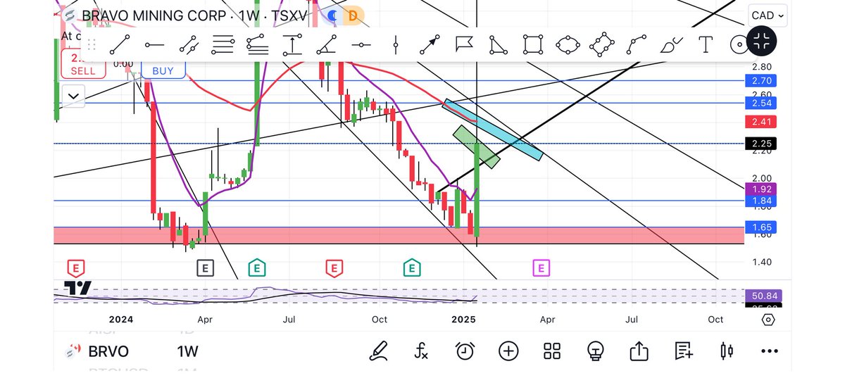 BottomFeeder411's tweet image. #BRVO $BRVO