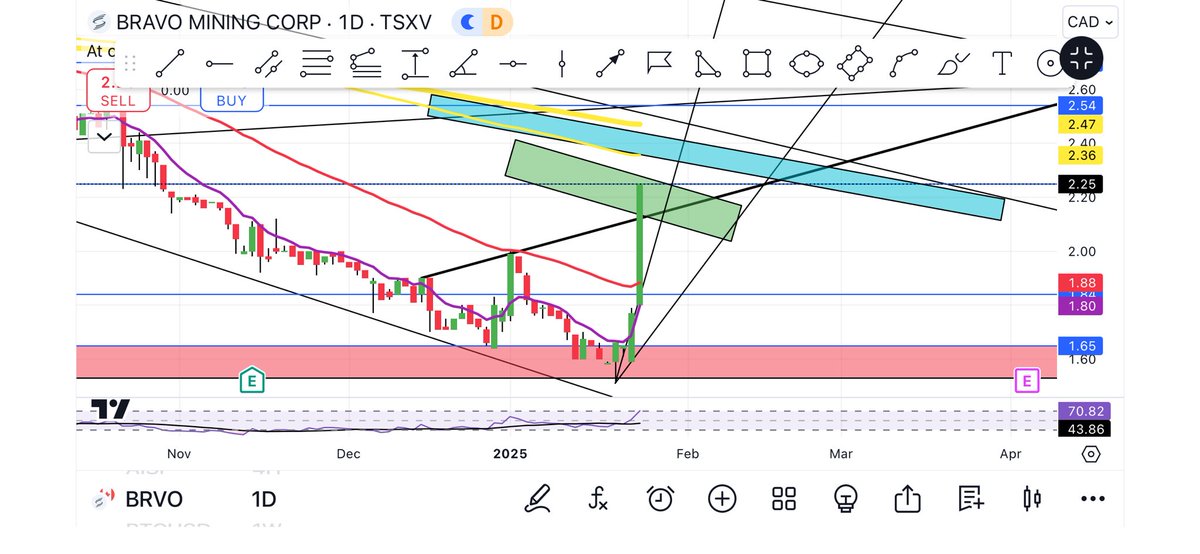 BottomFeeder411's tweet image. #BRVO $BRVO