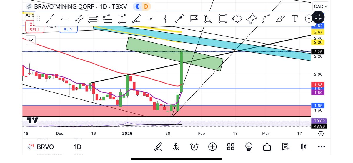 BottomFeeder411's tweet image. #BRVO $BRVO.