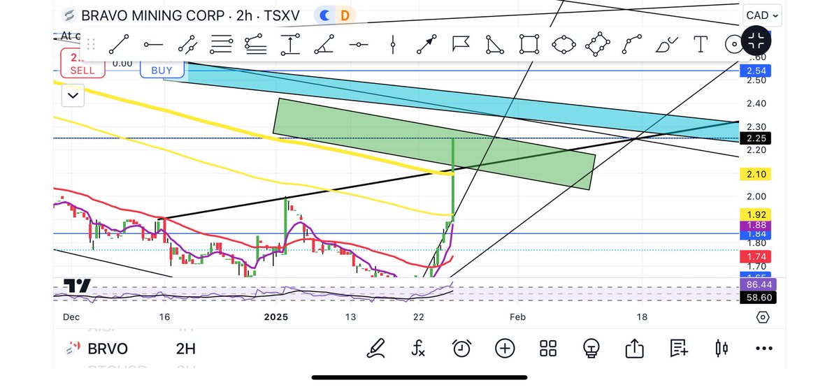 BottomFeeder411's tweet image. #BRVO $BRVO.