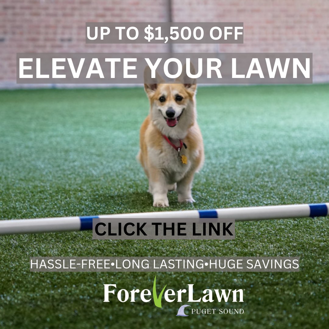 🐾 Upgrade your pet’s playtime with K9Grass® by ForeverLawn! Now with up to $1,500 OFF, it’s the perfect low-maintenance, pet-friendly turf, proudly endorsed by Cesar Millan. 🐶✨ Don’t wait—bring comfort and style to their world today! foreverlawnps.com/k9grass💚 #K9Grass