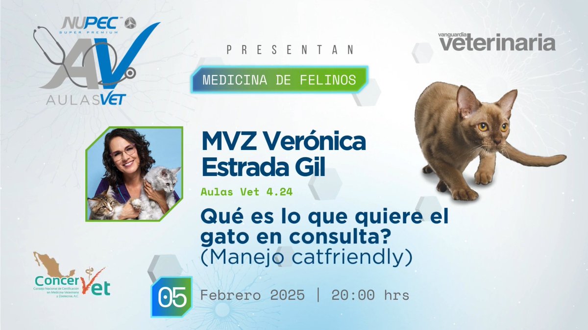 SQUENDA's tweet photo. 💻 ¿Qué es lo que quiere el gato en consulta? (Manejo catfriendly)
👤MVZ. Verónica Estrada Gil
📆05 de febrero 2025 | 20:00 hrs
😉Organiza: #AulaKAAN #NUPEC
🎥Transmisión: #VanguardiaVeterinaria
📭Pide link a informes@squenda.com.mx con tu NOMBRE+WHATSAPP+NOMBRECURSO https://t.co/kuw4ZaGpV4