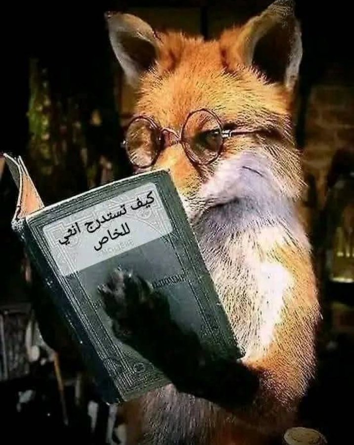ARMANI__72's tweet image. لا تقل لها تعالي إلى الخاص ، ستهرب منك لا محالة .. إنما قل لها تعالي نتحدث على إنفراد حتى تبدو شخصاً مثقفاً .