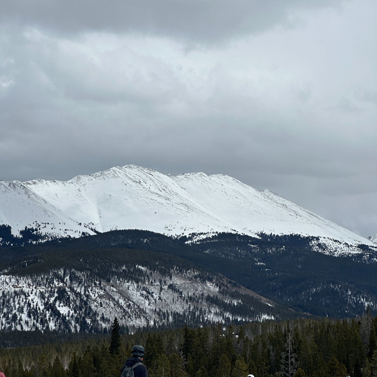 Josh 🍌 tweet media