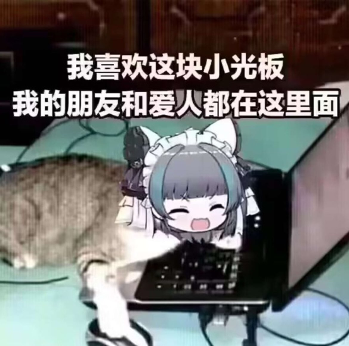 喵呜 ~♪………\^_^/