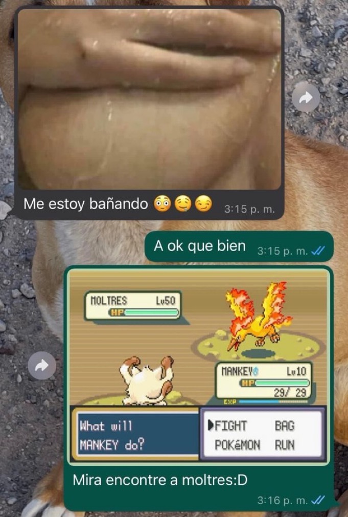 gente chamuyando tweet media