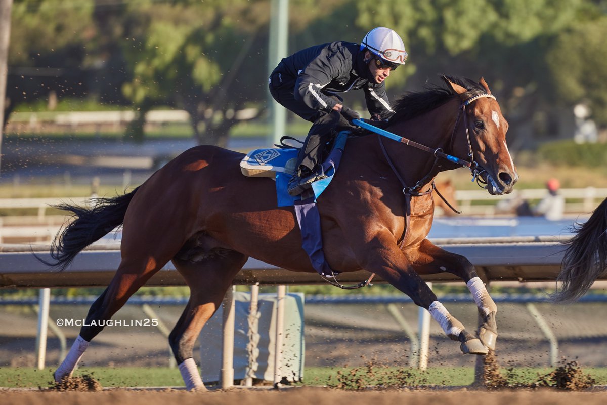 kimo16's tweet photo. Good looking 5F in 58.80 this morning for Eagles Flight under Abdul Alsagoor for trainer John Sadler @santaanitapark @MoreSummerWind @Hronis_Racing @sadlerracing @QusoorAl https://t.co/l4cEgh8GkF