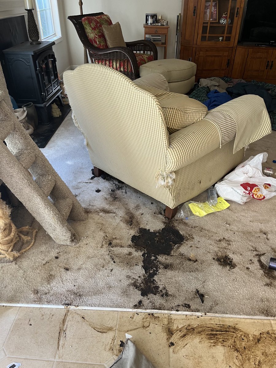 CrimeScenePro's tweet image. The mental healthcare crisis in America is real. #mentalhealth #hoarding