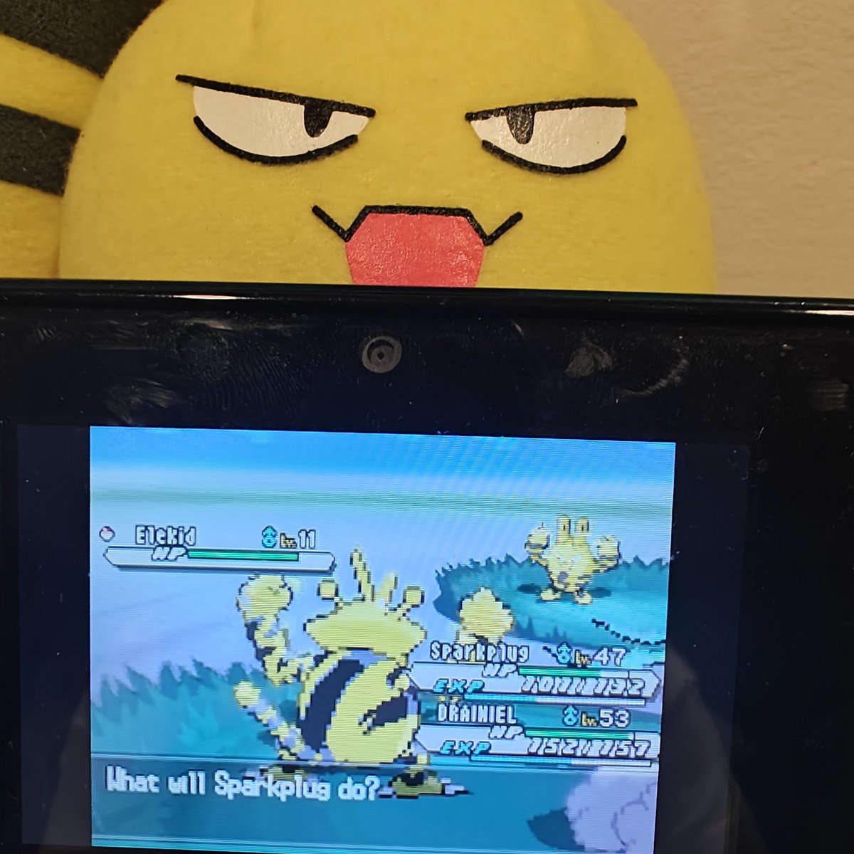 m_slowpoke's tweet photo. my target shiny elekid on phase 3 after 4604. horrendous quality images https://t.co/4khQWG7Frr