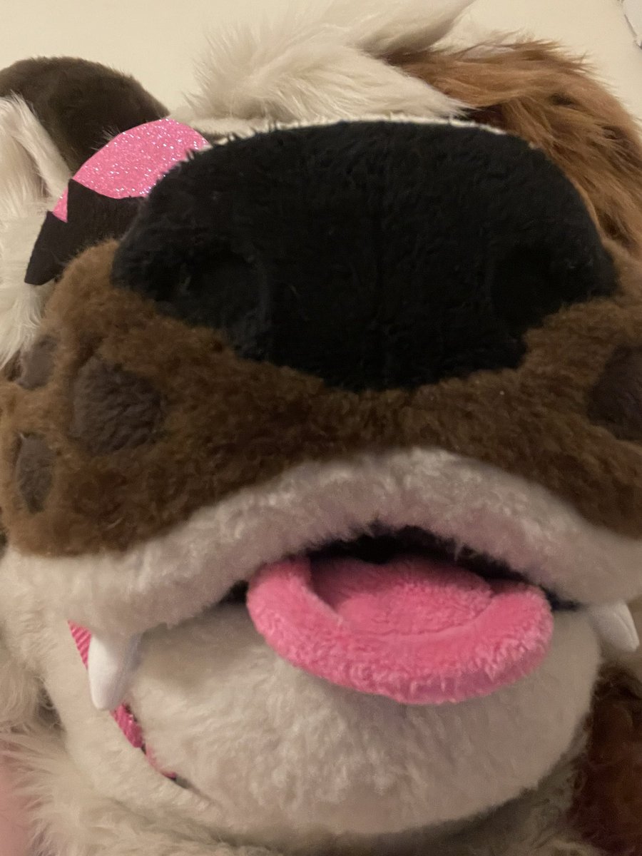 PUPPY BONE BRANDI IS REAL #fursuitfriday
( <a href="/occulttrash/">Aidhan Valentine ✨</a> )