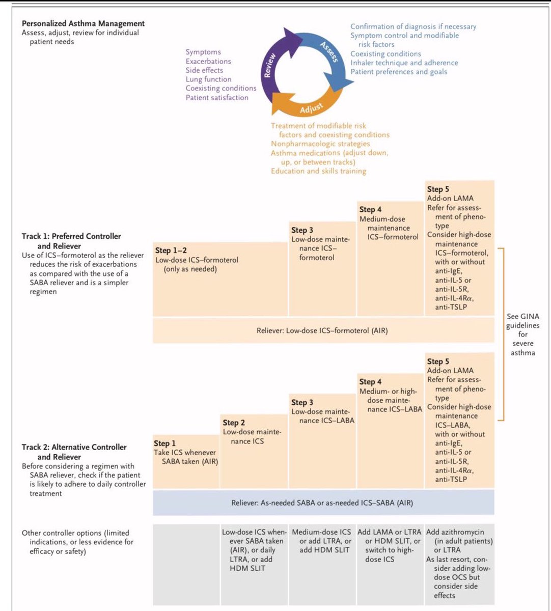 Jasmine Sethi tweet media