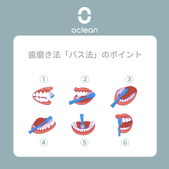 Oclean_JP's tweet photo. 🙌今回は歯周病予防に効果的な歯磨き法「バス法」をご紹介します！
 
1⃣歯ブラシの毛先を歯茎と45度の角度で当て、軽い力で優しく磨きます。
2⃣2～3本の歯を1セットにし、短い距離で4～6回振動させながら磨きます。
3⃣歯の外側も同じ方法でしっかり磨きましょう。
4⃣咬合面の溝は細菌が溜まりやすいため、特に念入りに磨いてください。
5⃣前歯の内側・外側も同じように磨きましょう。
6⃣前歯はブラシを縦に持ち、上下に往復しながら磨くのがポイント！

🦷歯磨きは2～4分を目安に行いましょう。
🔆舌面の汚れも口臭の原因になるので、忘れずにしっかり磨いてください！

#口臭対策 #口腔健康 #口腔ケア ＃オーラルケア ＃歯周病 ＃電動歯ブラシ