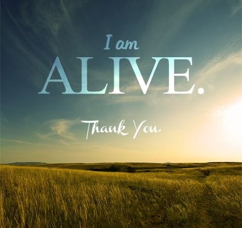 gayle frank🇨🇦 tweet media