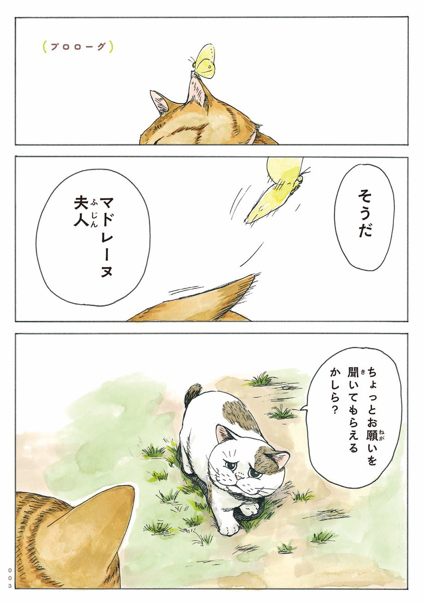 『かのこちゃんとマドレーヌ夫人』にたくさんのご感想いただきありがとうございます!感謝を込めてプロローグ再掲いたします。いつかアニメ化する日まで、応援拡散なにとぞよろしくお願いいたします🙇 