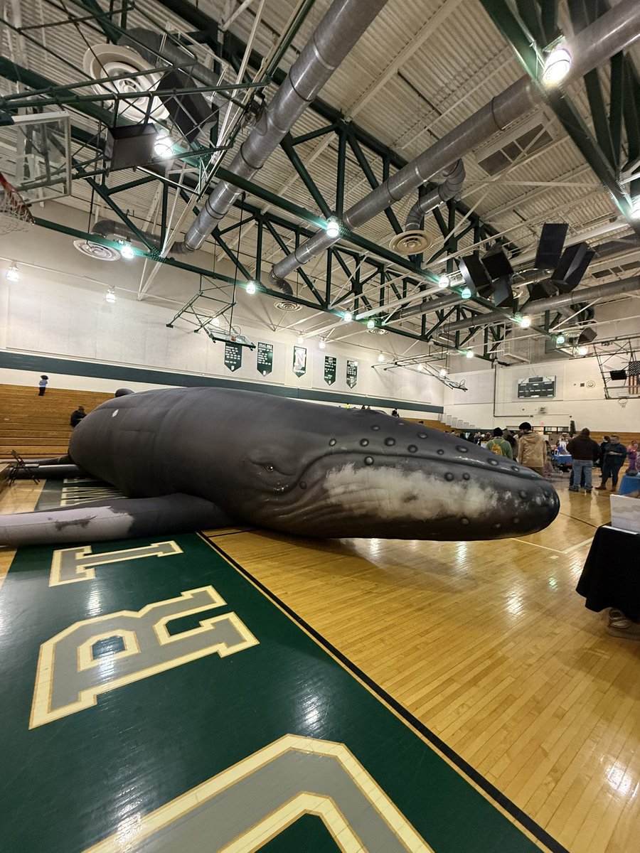 Dr. Michelle Jackson (@dr_mjackson1) on Twitter photo At the IPS STEM Innovation Fair, students loved the Whalemobile, a life-sized inflatable whale offering a chance to see what a whale looks like from the inside while inspiring a passion for ocean conservation and advocacy. <a href="/AleesiaLJohnson/">Dr. Aleesia Johnson</a> <a href="/IPSSchools/">IPS</a> <a href="/IPS_Sci_Coach/">Mary Catherine Dillon</a> <a href="/IPSFund/">IPS Foundation</a> At the IPS STEM Innovation Fair, students loved the Whalemobile, a life-sized inflatable whale offering a chance to see what a whale looks like from the inside while inspiring a passion for ocean conservation and advocacy. <a href="/AleesiaLJohnson/">Dr. Aleesia Johnson</a> <a href="/IPSSchools/">IPS</a> <a href="/IPS_Sci_Coach/">Mary Catherine Dillon</a> <a href="/IPSFund/">IPS Foundation</a>
