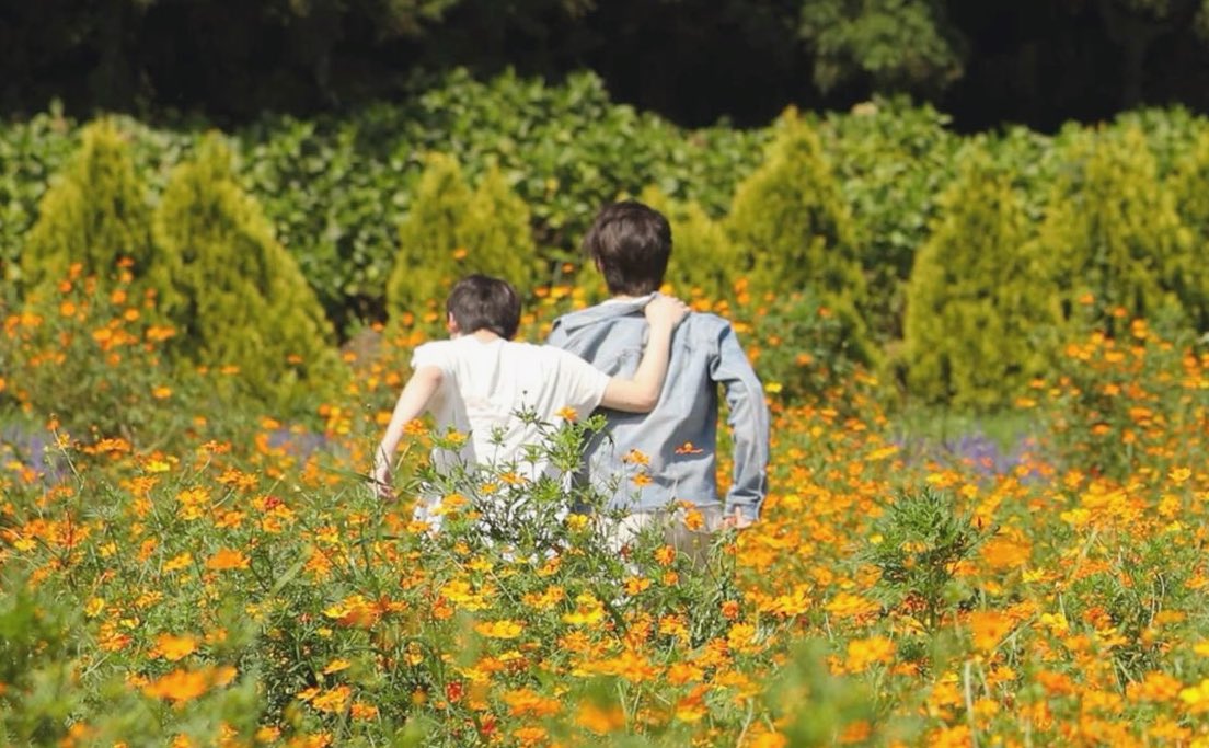 pshlouf's tweet photo. 🌷  au sunsun — Don’t Keep Love Around  🌷

Donde Sunghoon va todos los días a la florería que Sunoo tiene y termina enamorado de él. https://t.co/cAPpJPRORQ