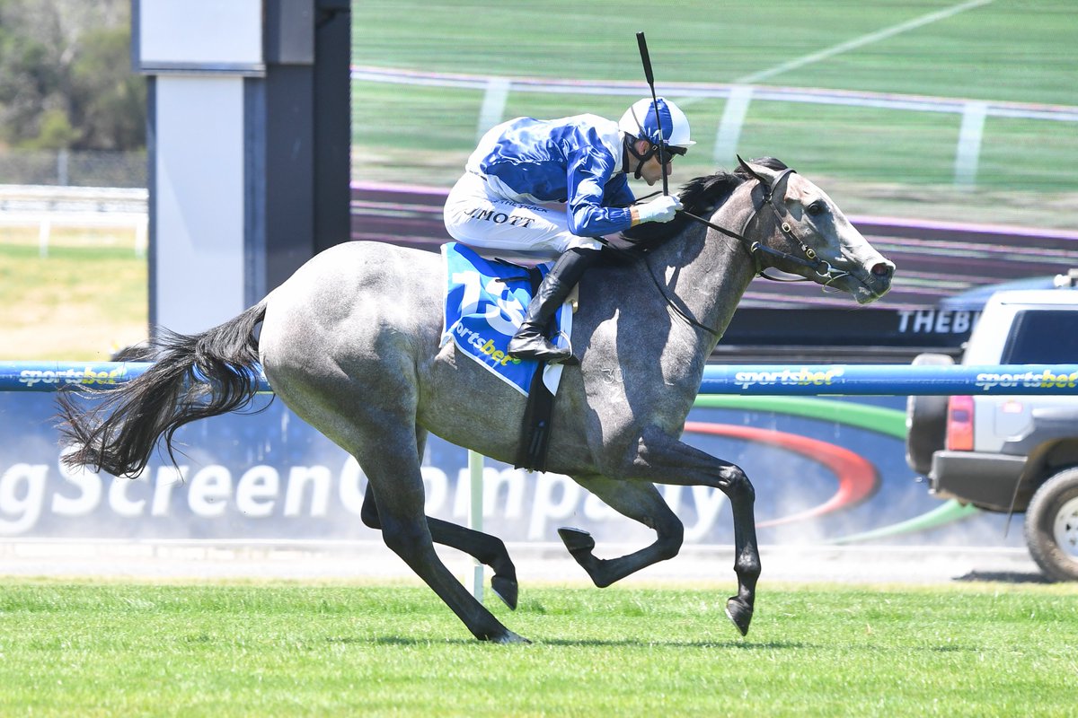 Racing Victoria (@racingvictoria) on Twitter photo ๐ค๐ซฐ Gorgeous grey My Gladiola could be worth a pretty penny after the daughter of I Am Invincible landed some precious black type in the G3 Blue Diamond Preview (F) for <a href="/RedgumRacing/">Redgum Racing</a> ๐ค๐ซฐ Gorgeous grey My Gladiola could be worth a pretty penny after the daughter of I Am Invincible landed some precious black type in the G3 Blue Diamond Preview (F) for <a href="/RedgumRacing/">Redgum Racing</a>