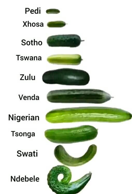 Alphasnr's tweet image. @alphasnr