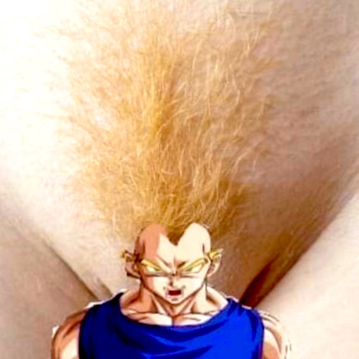 Viens chez moi pour regarder Dragon Ball