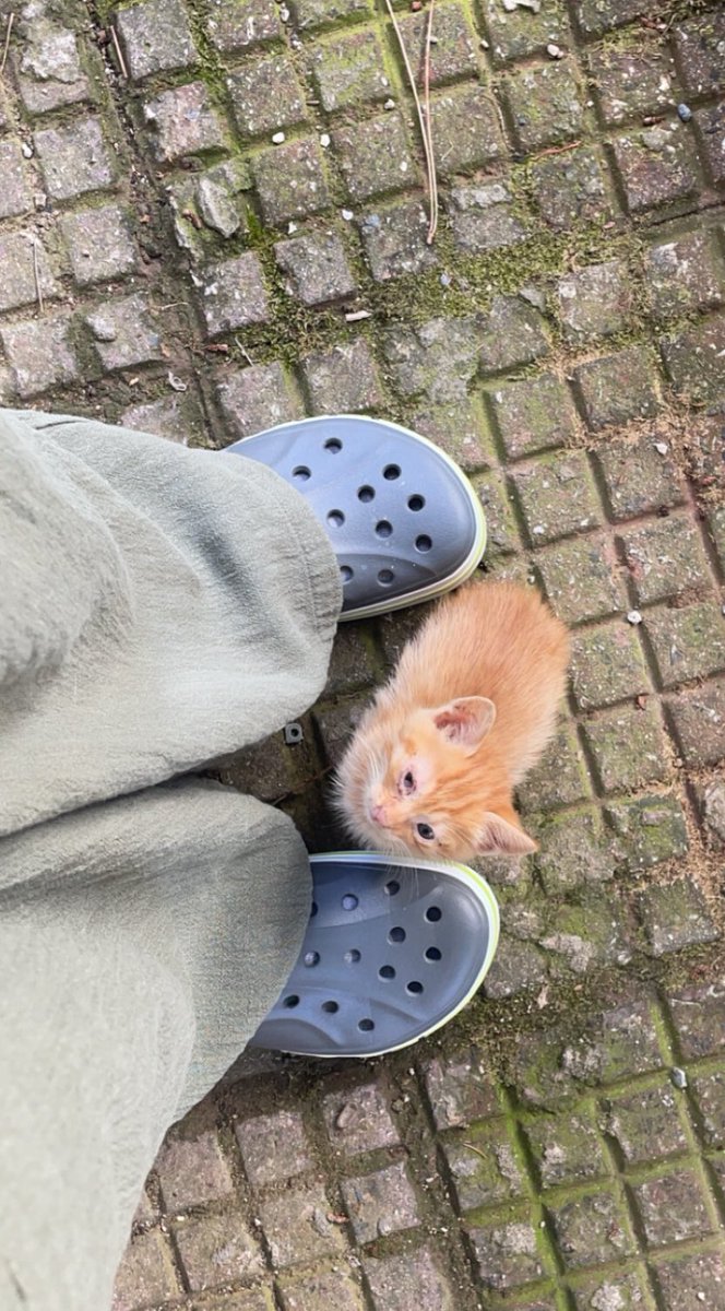 Karar vermedim o kendi gelmek istedi