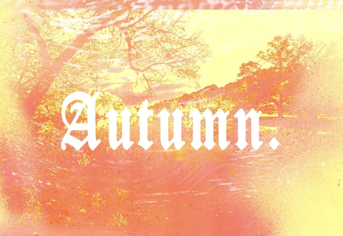 doniguts's tweet photo. 🍂
2/2. https://t.co/QPiRCdJ5kS