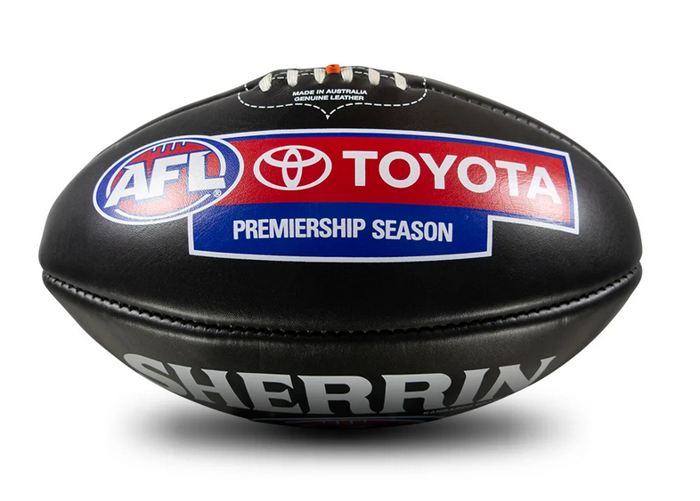 PlayAussieUSA tweet media