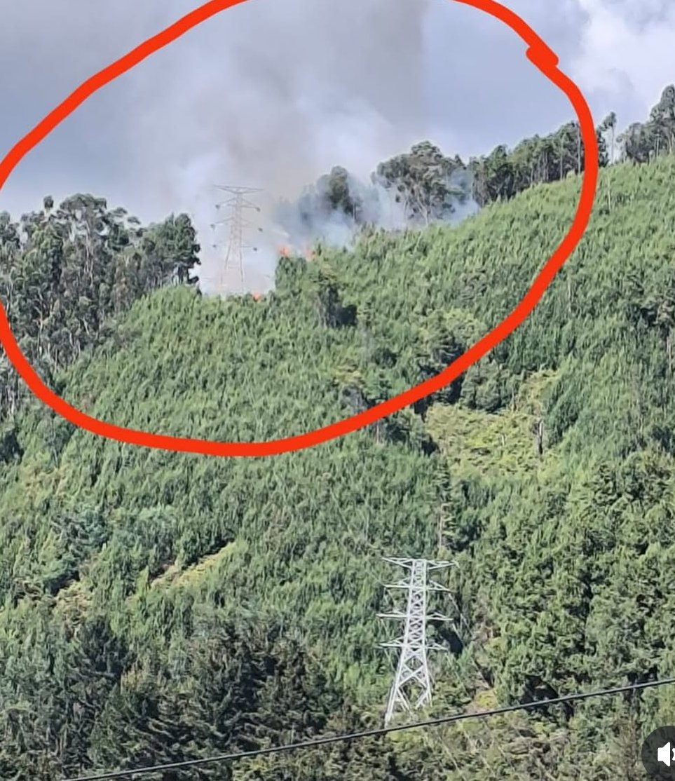criptikalsoul's tweet photo. Ciudadanía reporta #incendio visible en expansión en #cerro #Aguanoso, con referencia alto #Fucha que pone en riesgo a la comunidad, fauna, flora y calidad de #Bogota urge presencia de @EnelColombia @UNGRD @BomberosBogota @CarlosFGalan @Ambientebogota @Bogota @CarlosCarrilloA https://t.co/42UXXKCnP8
