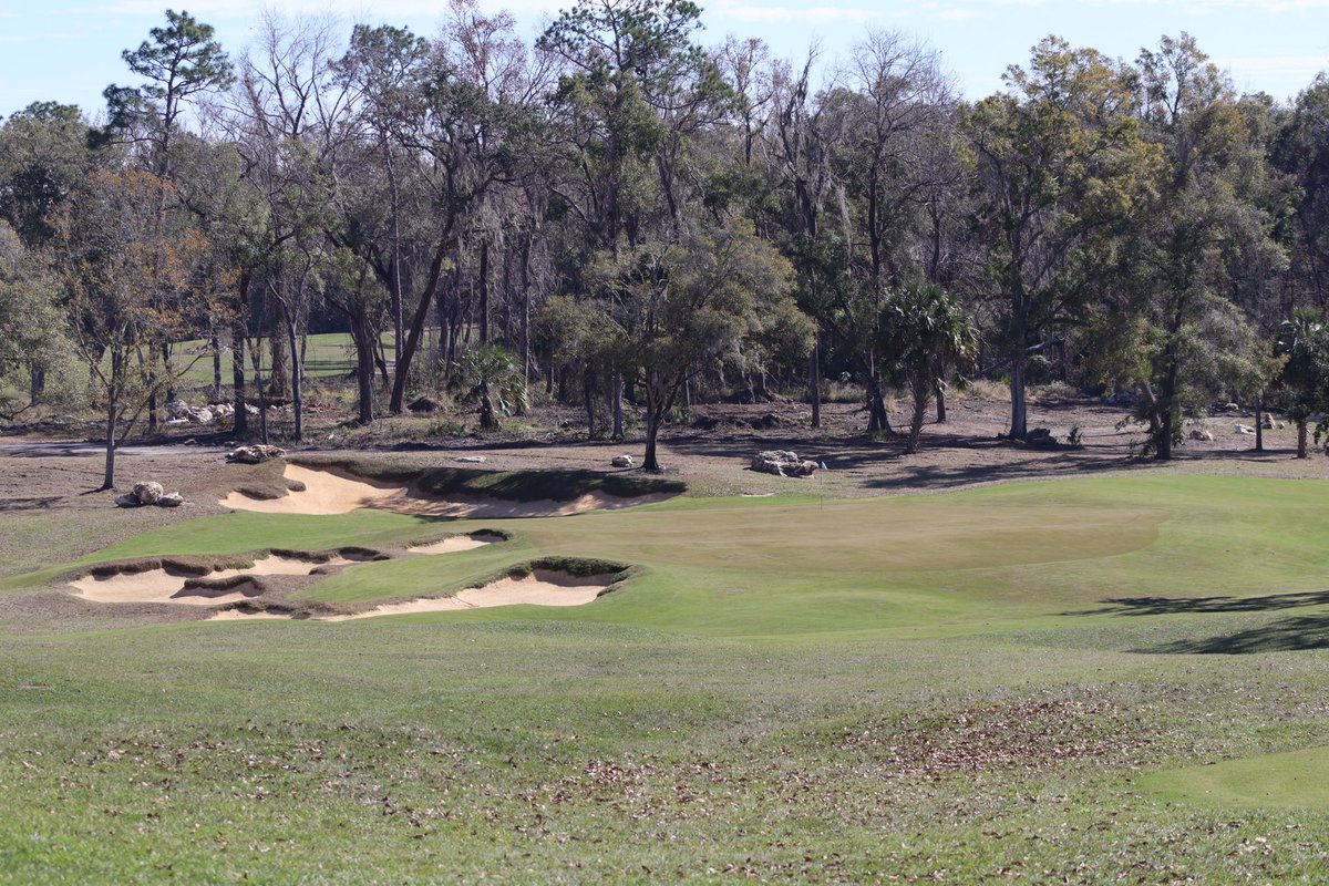 drewharvie's tweet photo. So good to finally see Cabot Citrus Farms (Roost) completed, an eccentric design from the think tank of Mike Nuzzo, Kyle Franz, Ran Morrissett, and Rod Whitman. My preferred 18 hole course of the two here, largely due to the select use of trees to define play + studious greens. https://t.co/6kpaNcK0LY