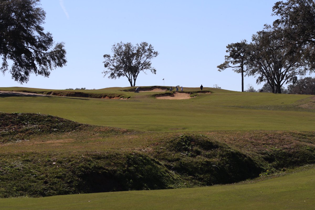 drewharvie's tweet photo. So good to finally see Cabot Citrus Farms (Roost) completed, an eccentric design from the think tank of Mike Nuzzo, Kyle Franz, Ran Morrissett, and Rod Whitman. My preferred 18 hole course of the two here, largely due to the select use of trees to define play + studious greens. https://t.co/6kpaNcK0LY