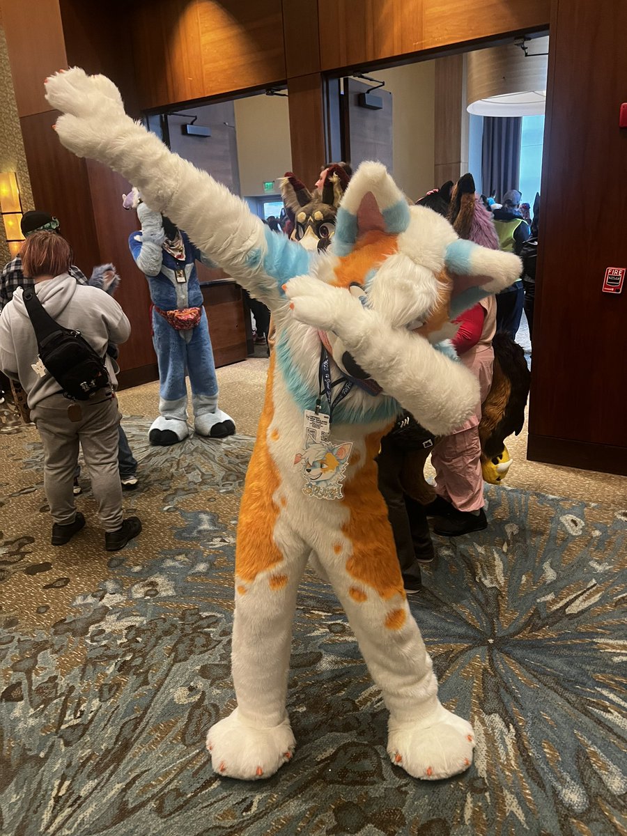 Beary 💘🐻 tweet media