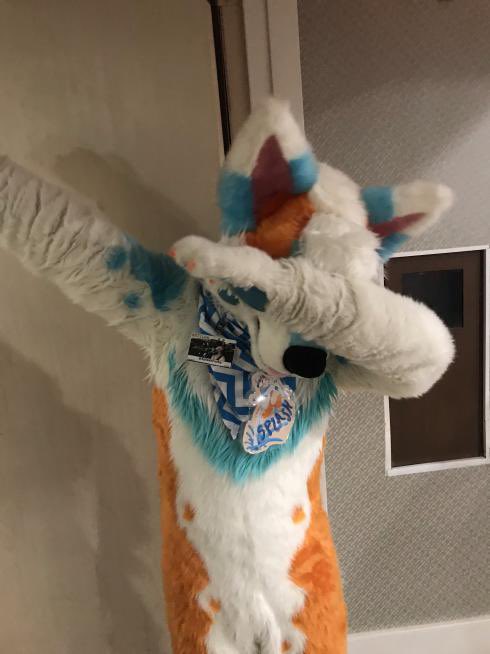 Beary 💘🐻 tweet media