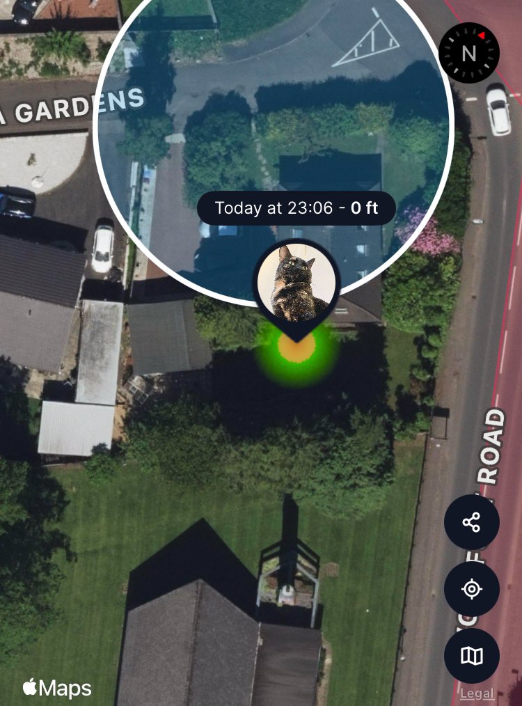 Todays heat map. 
Needless to say, Éowyn and I did not get along. 
#StormEowyn