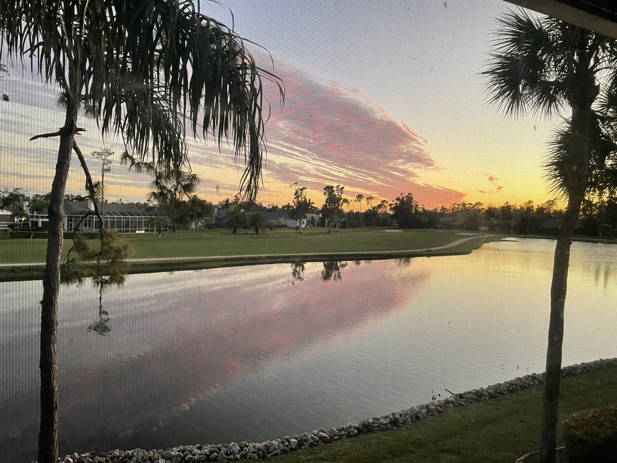 Deena⚡️Dietrich tweet media