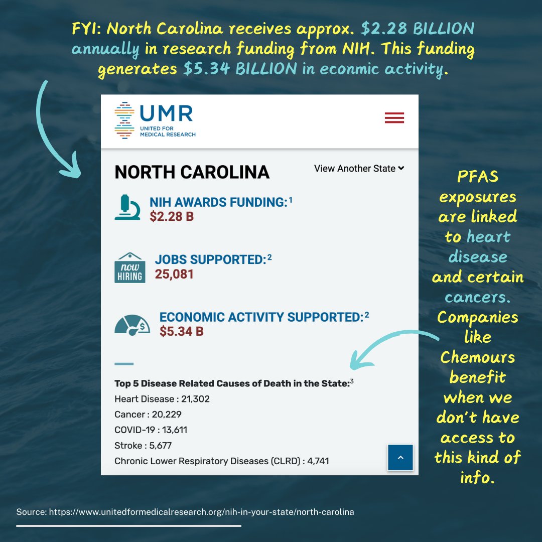 Clean Cape Fear tweet media